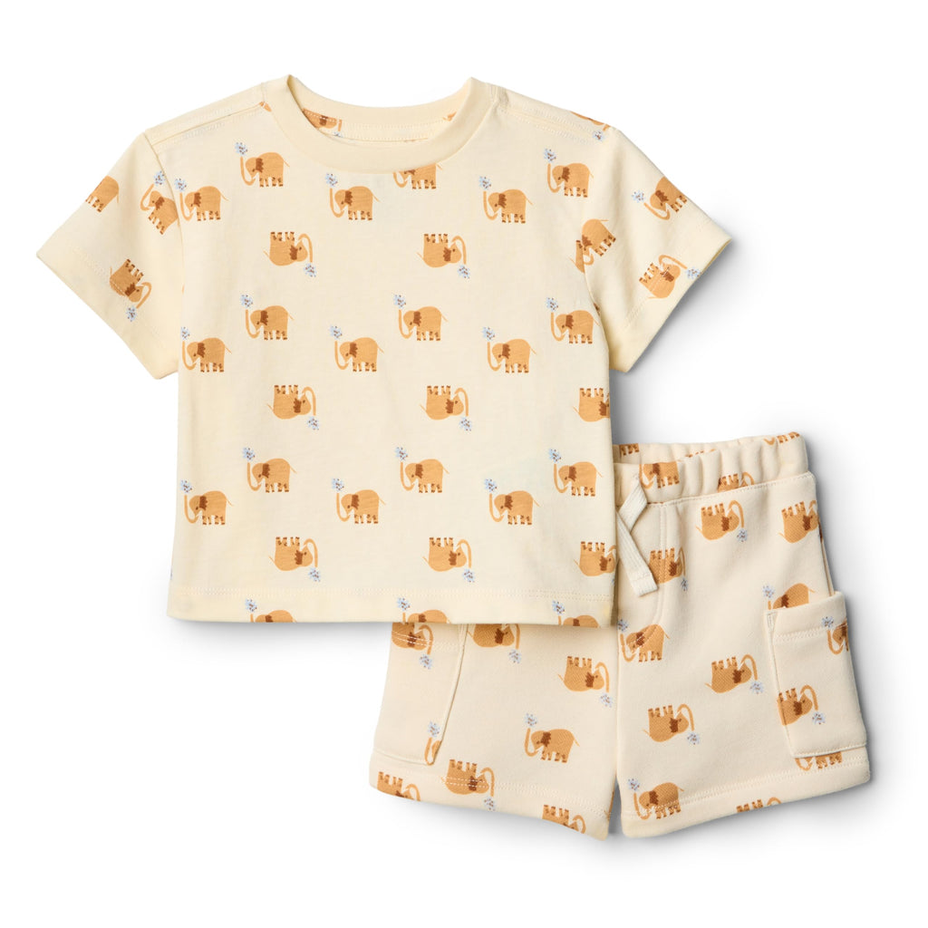 Amazon Essentials x Sofia Grainge Babies, Toddlers, and Boys' T-Shirt and Short Play Set, Multipacks