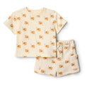 Amazon Essentials x Sofia Grainge Babies, Toddlers, and Boys' T-Shirt and Short Play Set, Multipacks