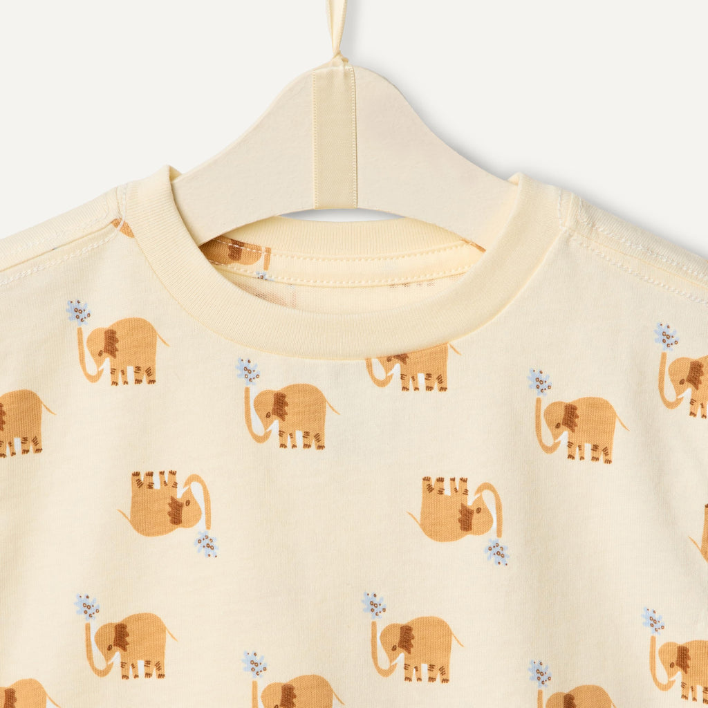 Amazon Essentials x Sofia Grainge Babies, Toddlers, and Boys' T-Shirt and Short Play Set, Multipacks