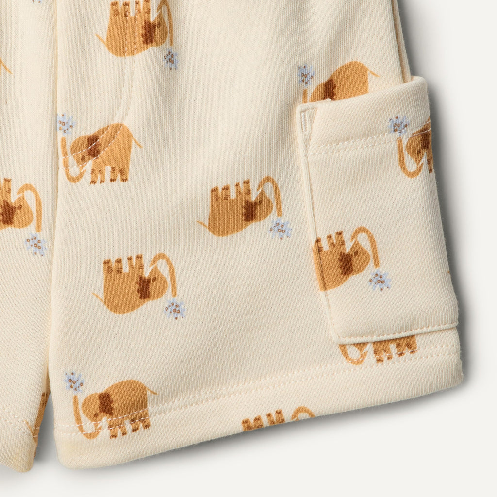 Amazon Essentials x Sofia Grainge Babies, Toddlers, and Boys' T-Shirt and Short Play Set, Multipacks